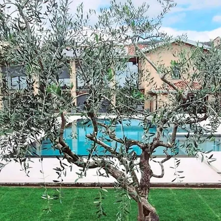 Elegant With Shared Pool *